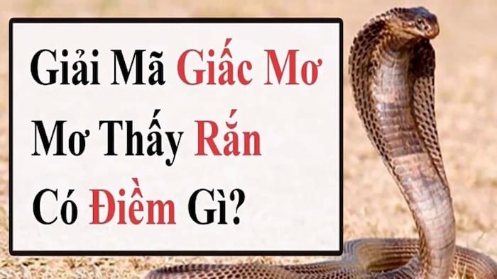 Mơ thấy rắn là điềm báo tốt - giải mã giấc mơ thấy rắn