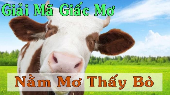 Trong giấc mơ bạn thấy con bò có thể là do xuất phát từ nỗi nhớ quê hương 