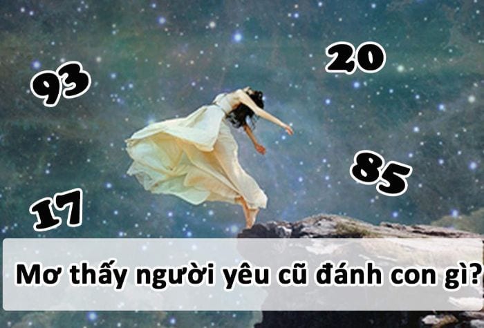 Nằm mơ thấy người yêu cũ đánh con gì?