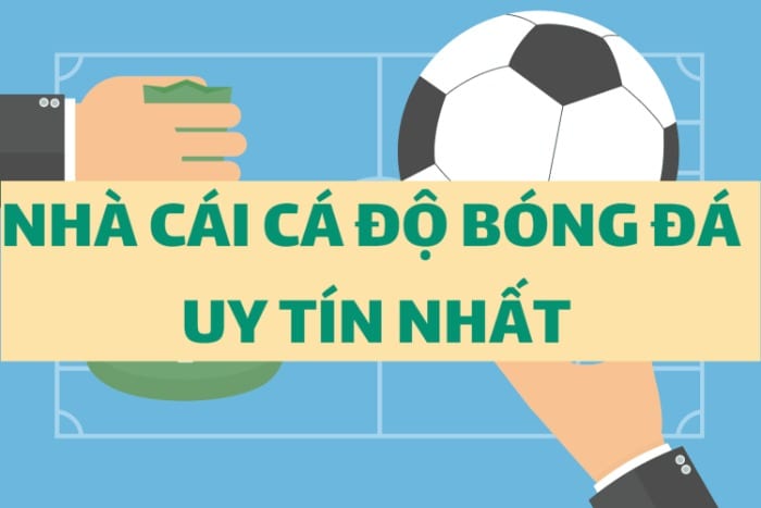 Có rất nhiều nhà cái cá độ khác nhau cho bạn lựa chọn