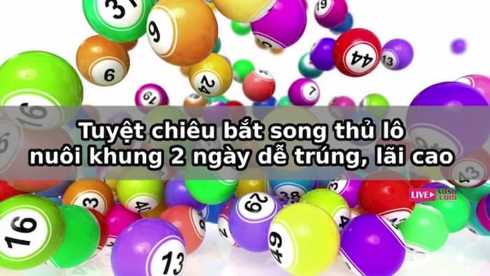 Lô khung nuôi 2 ngày có tỷ lệ trúng rất cao